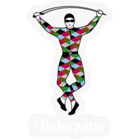 The Harlequins Stickers — Stickers & Decals