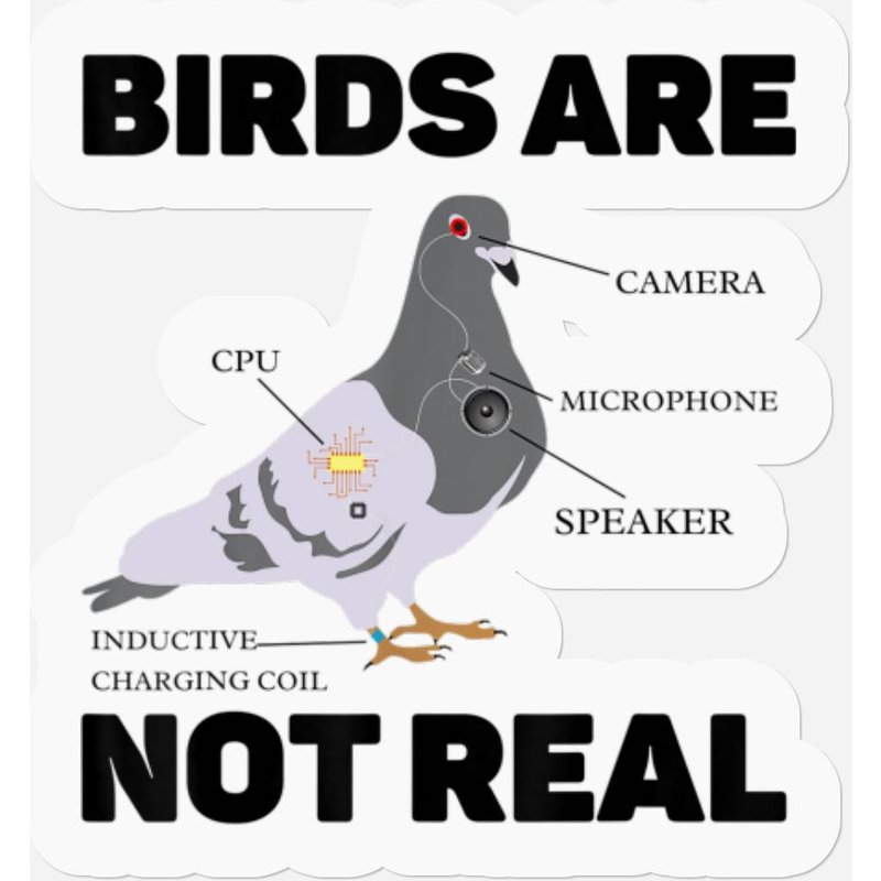 Birds Are Not Real Pigeon Spies Birds Aren't Real Stickers — Autocollants et stickers