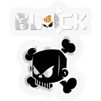 Ken Block Auto Racing Stickers
