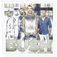 Bush Band Essential Stickers — Stickers & Decals