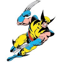 Wolverine Car And Vinyl Decal / Sticker 10 Sizes