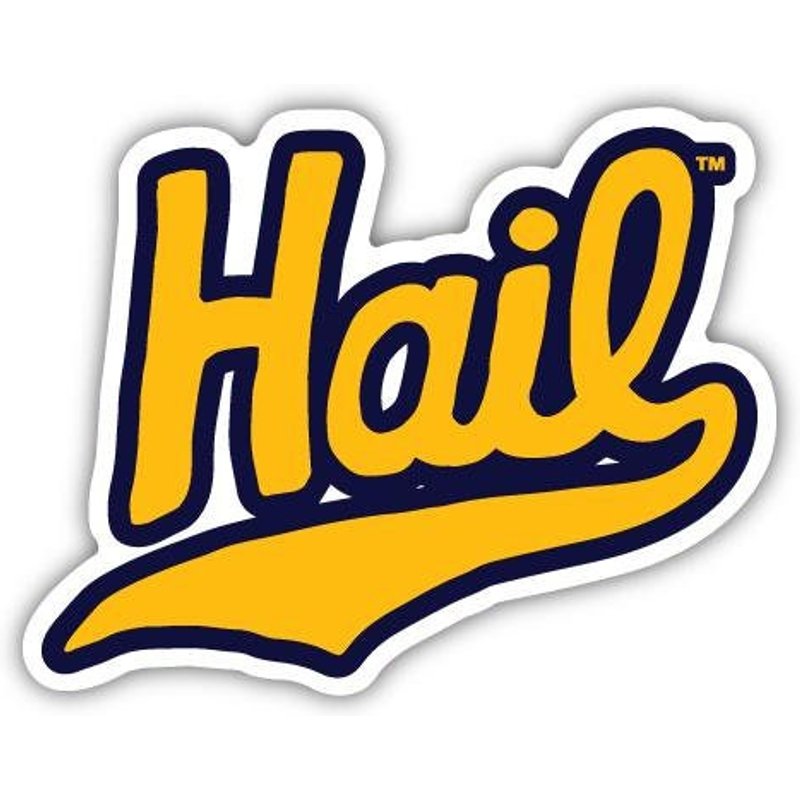 University Of Michigan Hail Decal Sticker — Autocollants et stickers