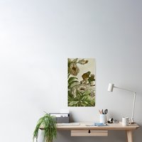 A Frog And Toad The Hat Vintage Poster — Posters & Prints