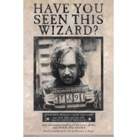 The Wizarding World: Harry Potter — Affiches et impressions