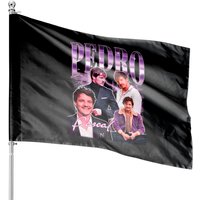 Pedro Pascal House Flags, Narco Pedro Pascal Fans House Flags — Decorative Flags