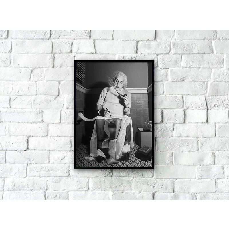 Black And White Albert Einstein In Toilet Poster, Rare Albert Einstein Poster