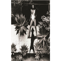 Helmut Newton, Raquel Welch Poster — Affiches et impressions