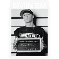 Eminem Stickers - Slim Shady Collection