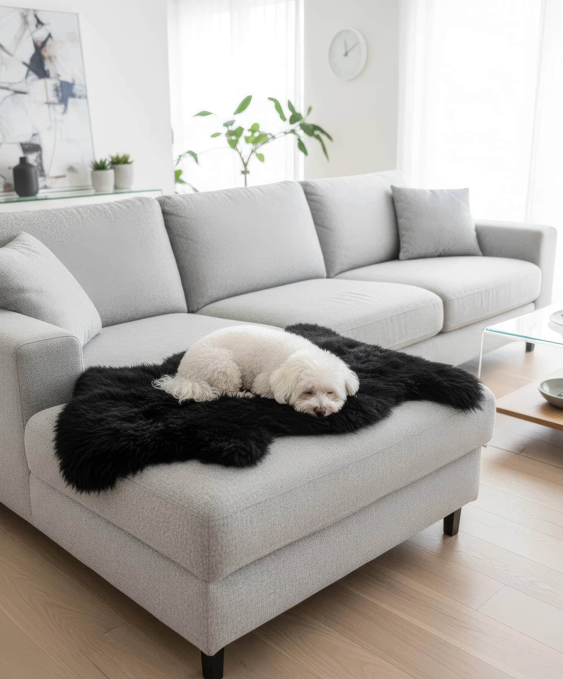 Super Area Rugs Peau de Mouton Noir Naturelle 2' x 3 — Tapis