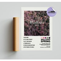 Wallows Posters / Spring Poster