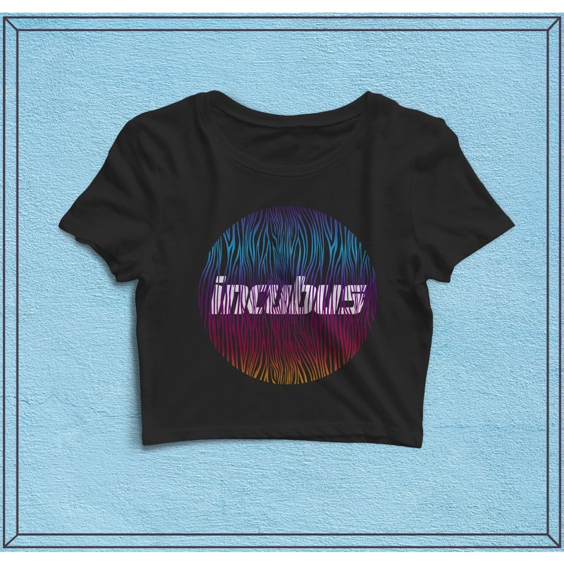 Incubus Vintage Crop Top - Music Shirt, Women Shirts, Incubus Shirt — Mens T Shirts