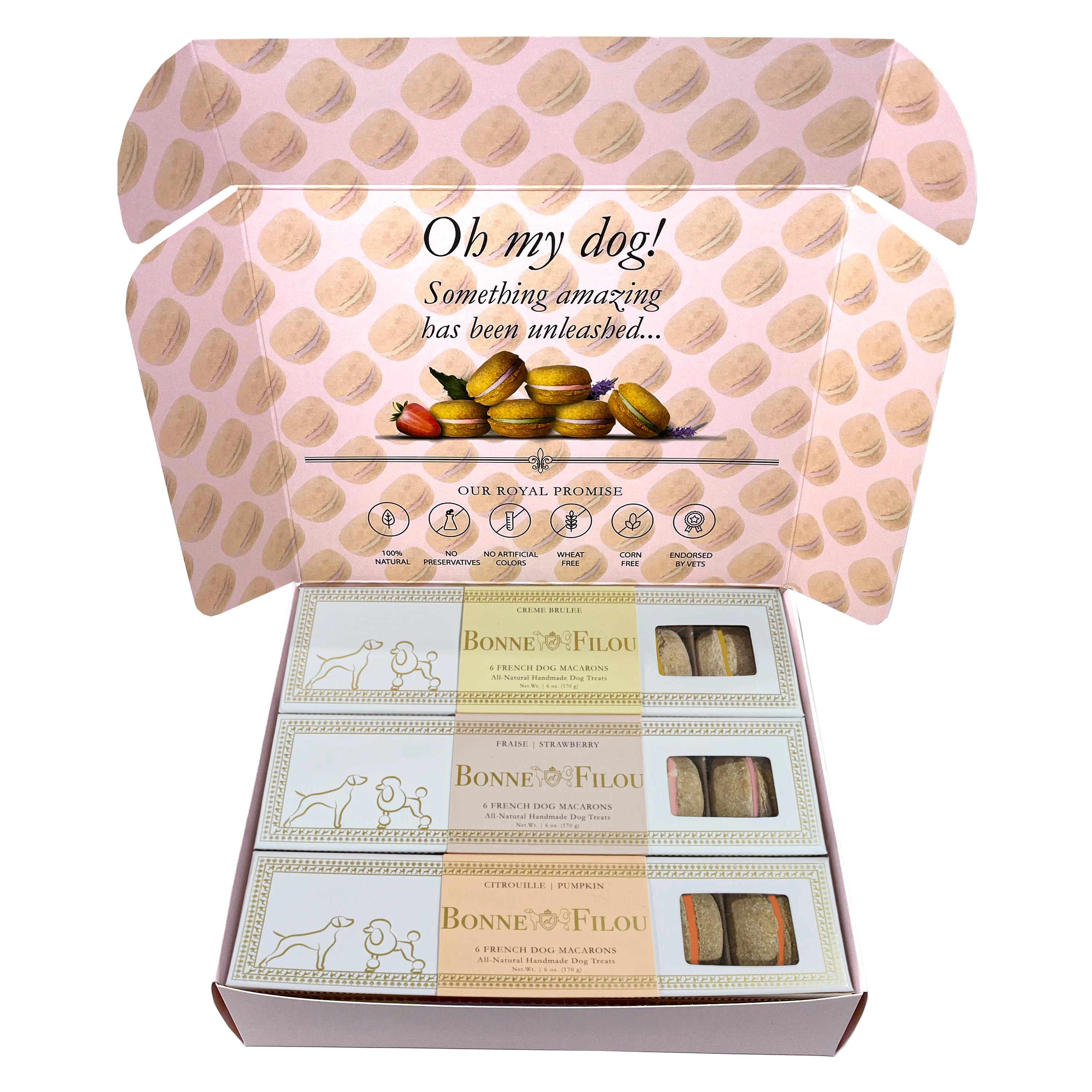 Dog Macaron Combo Gift Box (18 French Dog Macarons) - Creme Brulee Strawberry Pumpkin — Dog Toys