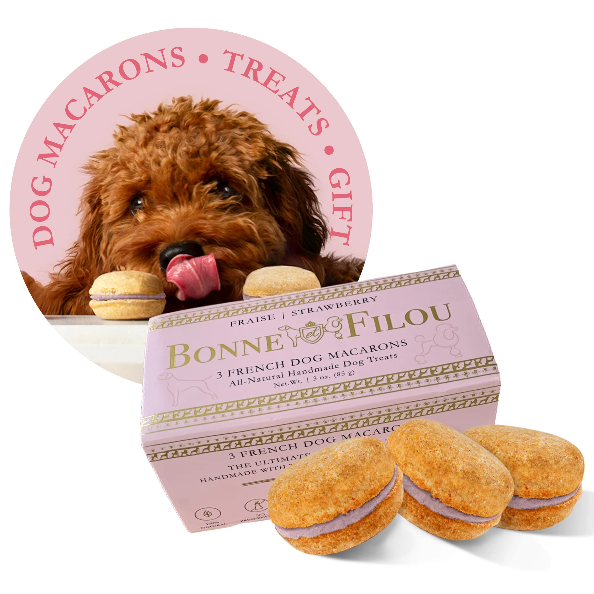 Dog Macarons (Box of 3) - Strawberry