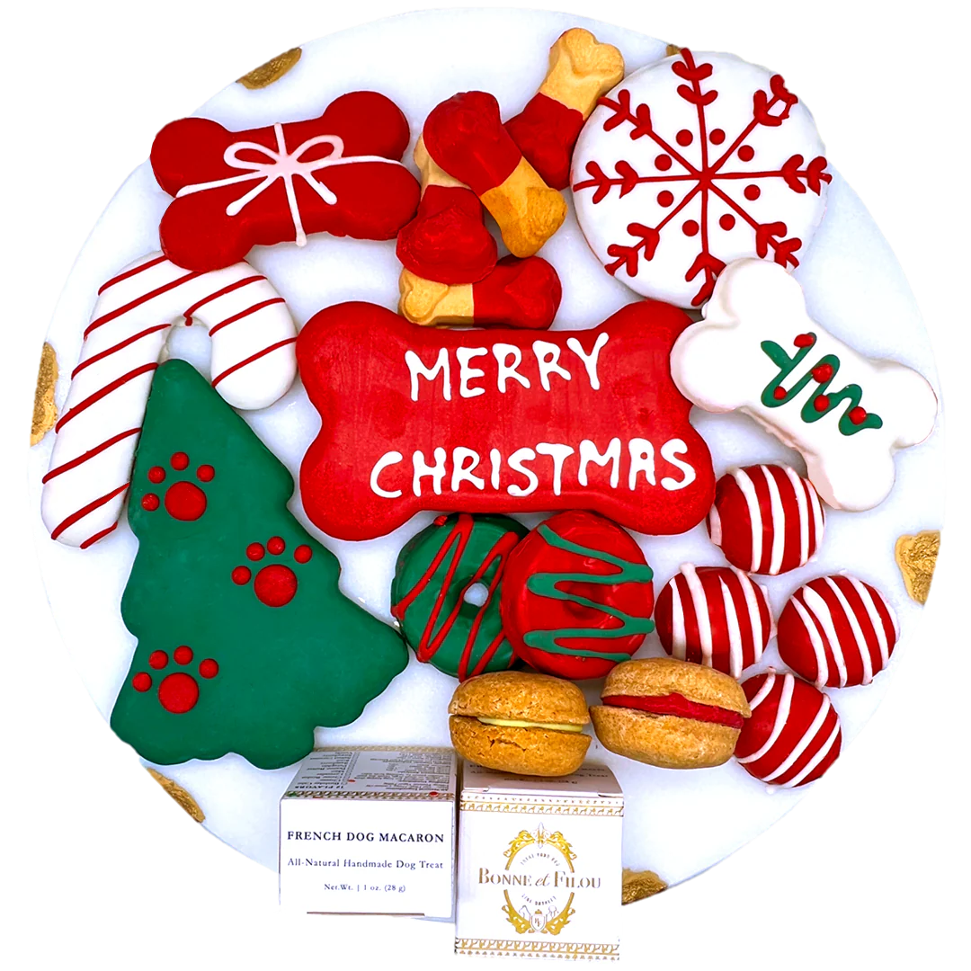 Christmas Themed Dog Treats Gift Box — Dog Toys